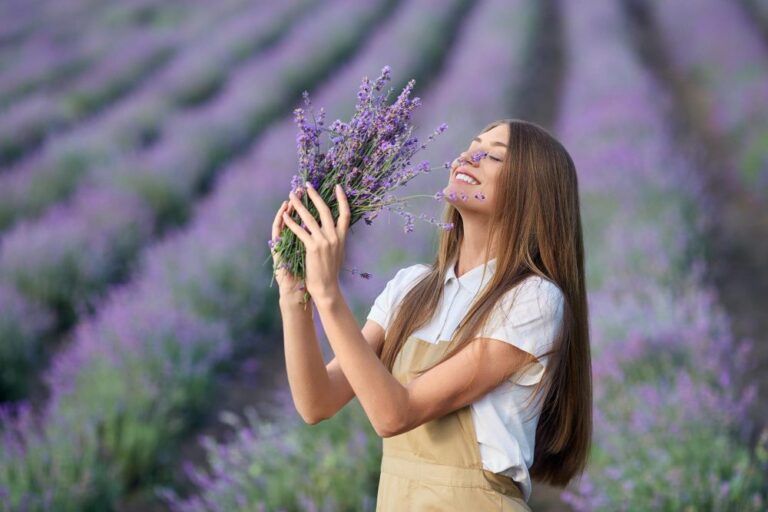 El Poder de los difusores de aromas