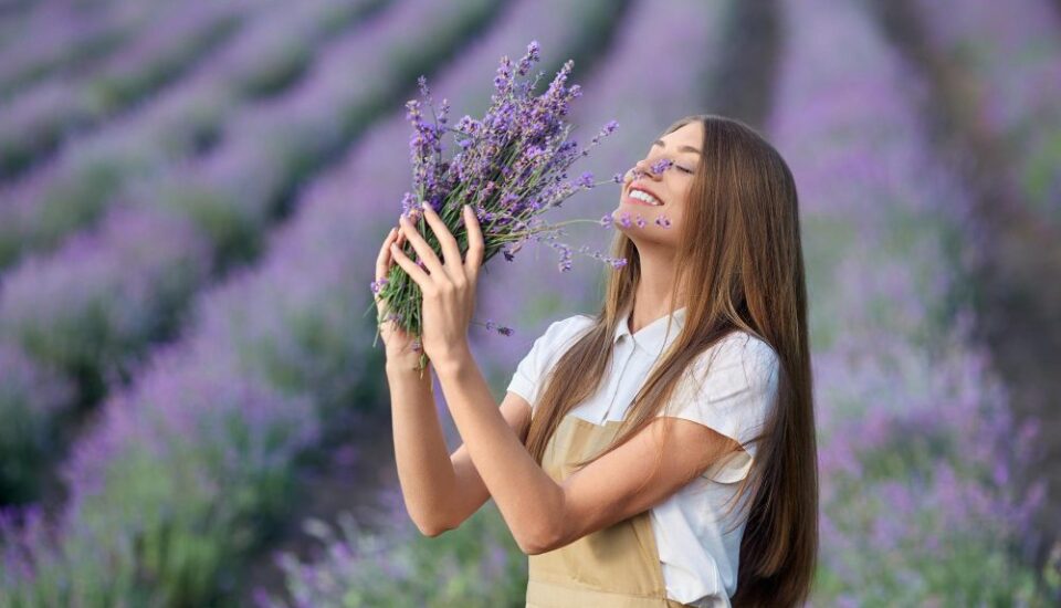 El Poder de los difusores de aromas